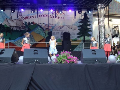 VII Dni Łodygowic - zdjęcie53