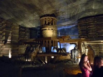 Wycieczka do ZOO i Wieliczki - zdjęcie5