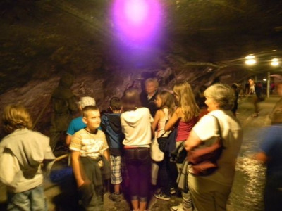 Wycieczka do ZOO i Wieliczki - zdjęcie4