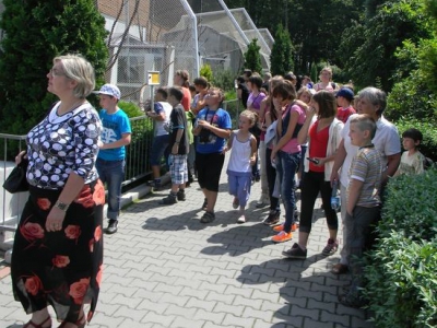 Wycieczka do ZOO i Wieliczki - zdjęcie3