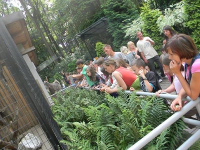 Wycieczka do ZOO i Wieliczki - zdjęcie2