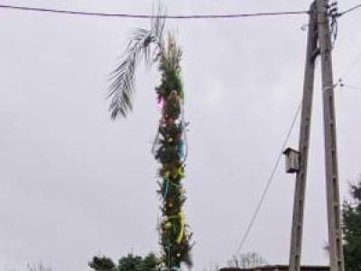 Konkurs Palm Wielkanocnych - zdjęcie11