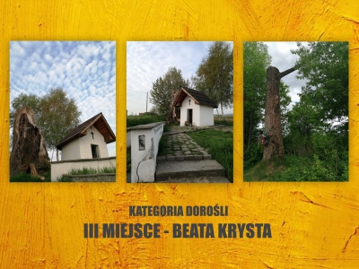 Śladami Kapliczek Maryjnych w Gminie Łodygowice - zdjęcie1