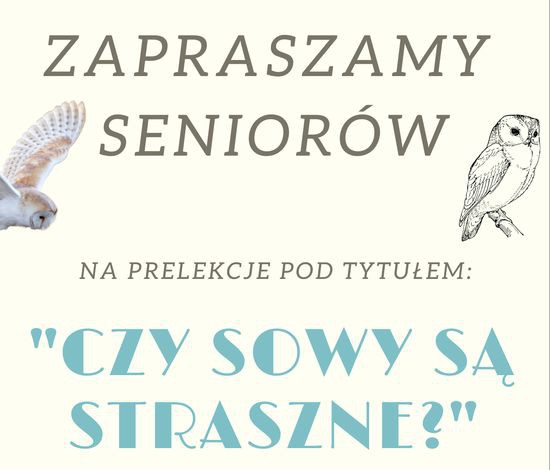 Czy sowy są straszne